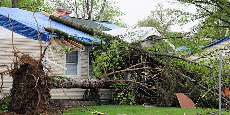 reputable storm damage roof repair experts Seattle, WA